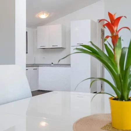 House Leone Holiday home Bibici